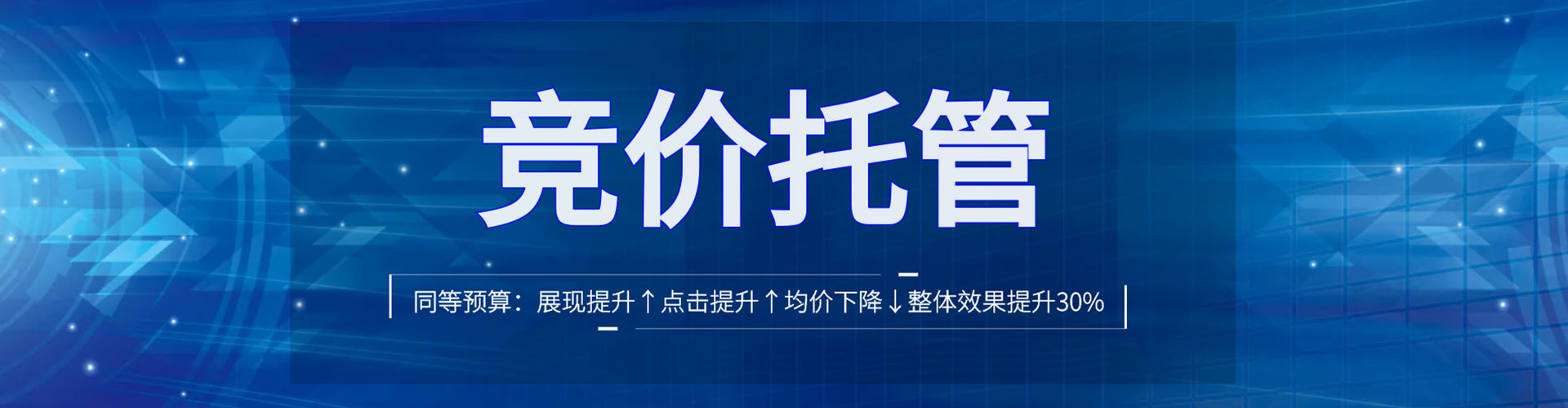 树林网络推广竞价
